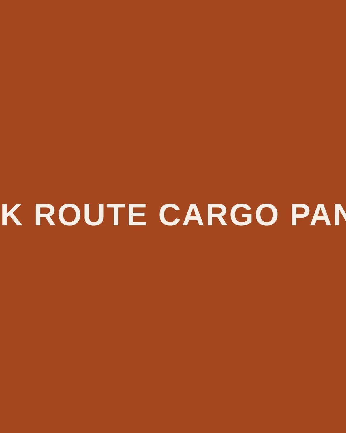 Silk Route Cargo Pants